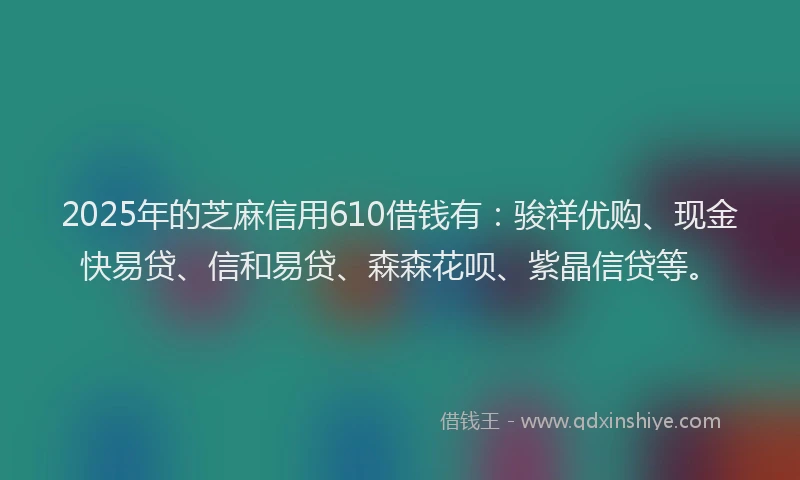 2025年的芝麻信用610借钱有：骏祥优购、现金快易贷、信和易贷、森森花呗、紫晶信贷等。