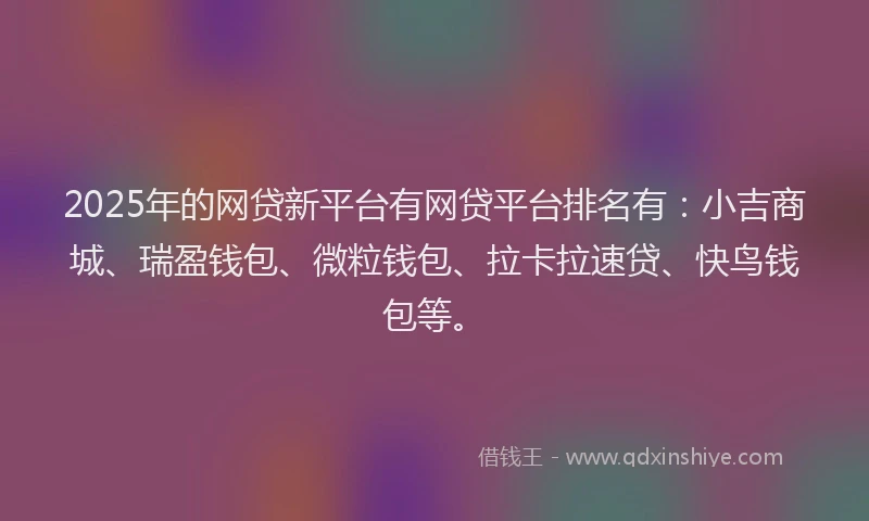 2025年的网贷新平台有网贷平台排名有：小吉商城、瑞盈钱包、微粒钱包、拉卡拉速贷、快鸟钱包等。
