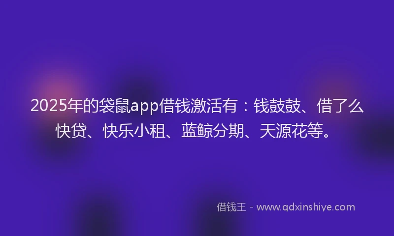 2025年的袋鼠app借钱激活有：钱鼓鼓、借了么快贷、快乐小租、蓝鲸分期、天源花等。