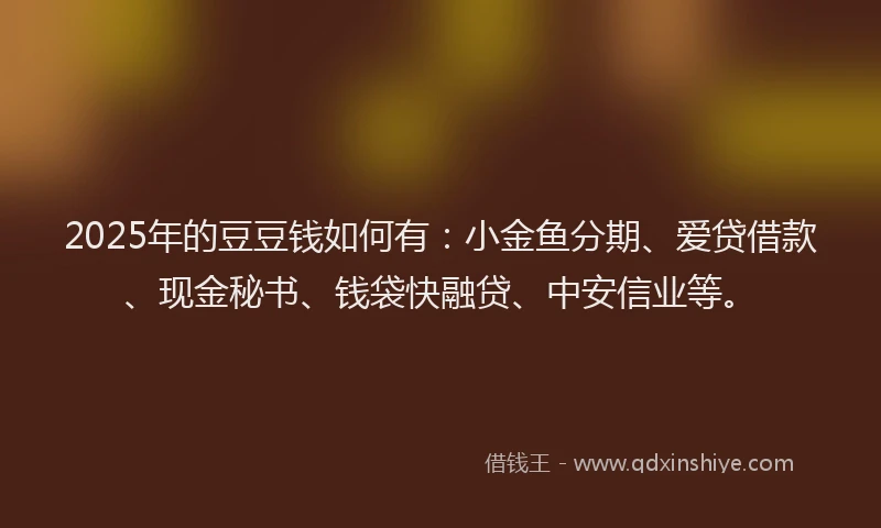 2025年的豆豆钱如何有：小金鱼分期、爱贷借款、现金秘书、钱袋快融贷、中安信业等。