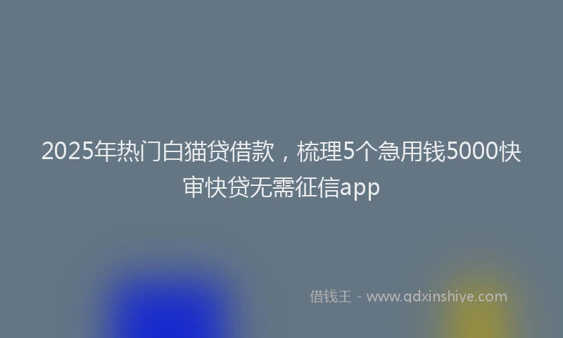2025年热门白猫贷借款，梳理5个急用钱5000快审快贷无需征信app