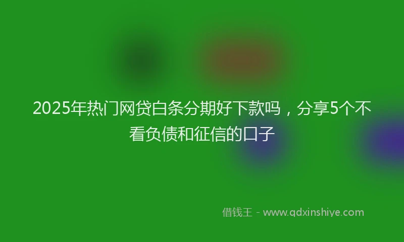 2025年热门网贷白条分期好下款吗，分享5个不看负债和征信的口子