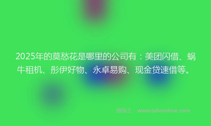 2025年的莫愁花是哪里的公司有：美团闪借、蜗牛租机、彤伊好物、永卓易购、现金贷速借等。