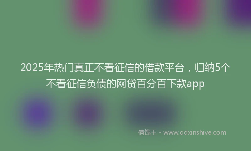 2025年热门真正不看征信的借款平台，归纳5个不看征信负债的网贷百分百下款app