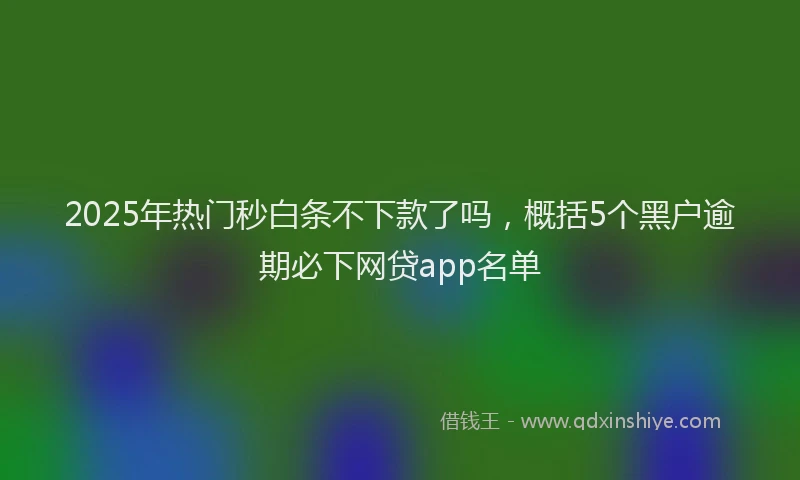 2025年热门秒白条不下款了吗，概括5个黑户逾期必下网贷app名单