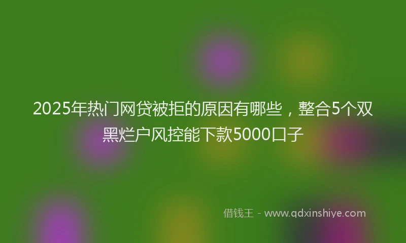 2025年热门网贷被拒的原因有哪些，整合5个双黑烂户风控能下款5000口子