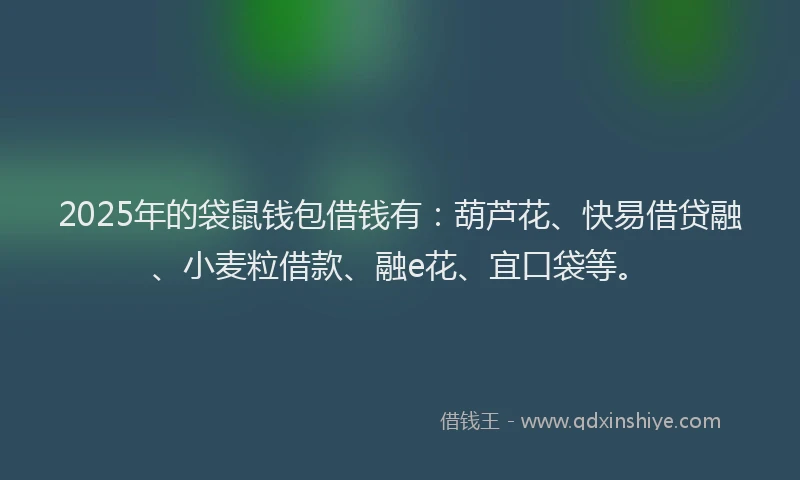 2025年的袋鼠钱包借钱有：葫芦花、快易借贷融、小麦粒借款、融e花、宜口袋等。