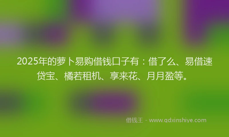 2025年的萝卜易购借钱口子有：借了么、易借速贷宝、橘若租机、享来花、月月盈等。