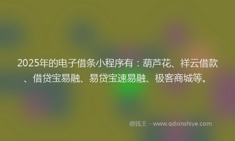 2025年的电子借条小程序有：葫芦花、祥云借款、借贷宝易融、易贷宝速易融、极客商城等。