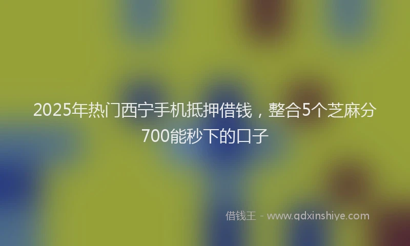 2025年热门西宁手机抵押借钱，整合5个芝麻分700能秒下的口子
