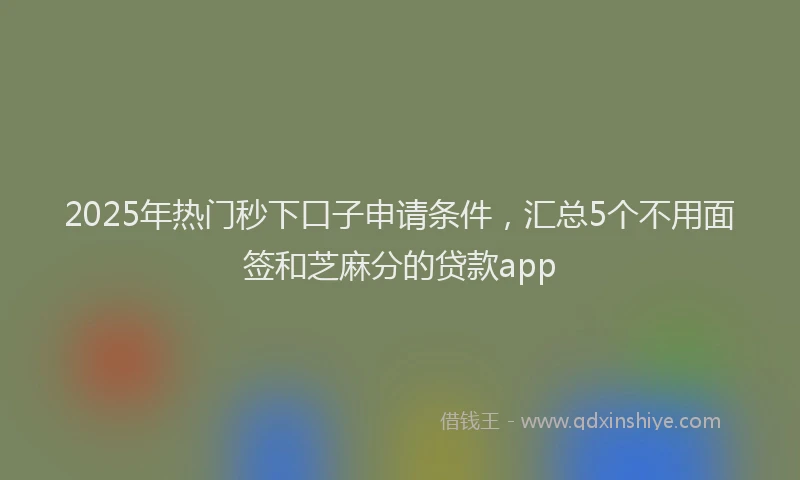 2025年热门秒下口子申请条件，汇总5个不用面签和芝麻分的贷款app