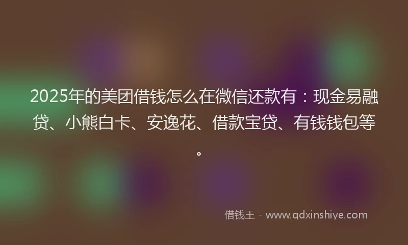 2025年的美团借钱怎么在微信还款有：现金易融贷、小熊白卡、安逸花、借款宝贷、有钱钱包等。
