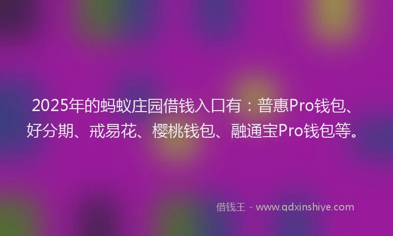 2025年的蚂蚁庄园借钱入口有：普惠Pro钱包、好分期、戒易花、樱桃钱包、融通宝Pro钱包等。