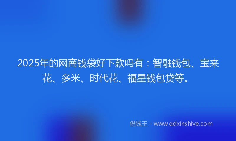 2025年的网商钱袋好下款吗有：智融钱包、宝来花、多米、时代花、福星钱包贷等。