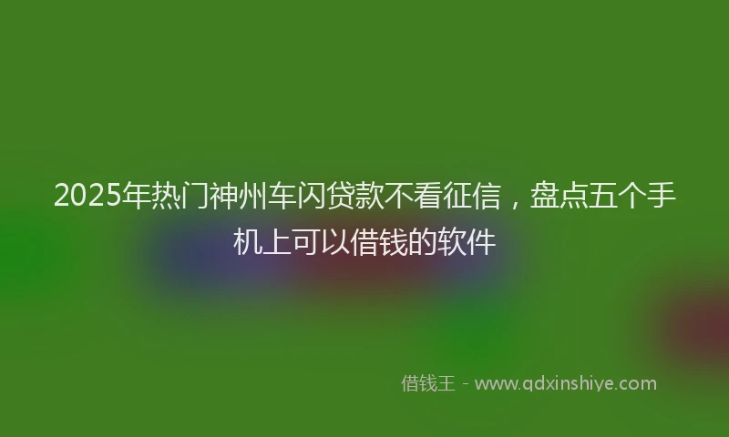 2025年热门神州车闪贷款不看征信，盘点五个手机上可以借钱的软件