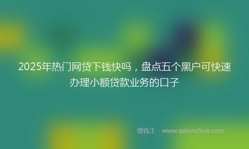 2025年热门网贷下钱快吗，盘点五个黑户可快速办理小额贷款业务的口子