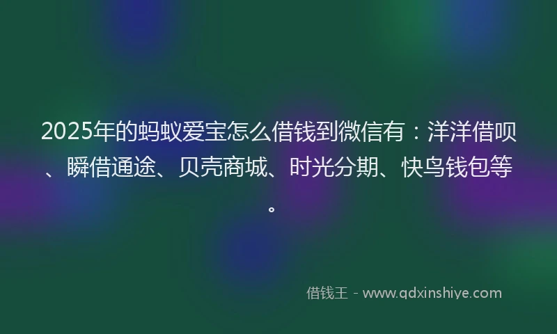 2025年的蚂蚁爱宝怎么借钱到微信有：洋洋借呗、瞬借通途、贝壳商城、时光分期、快鸟钱包等。