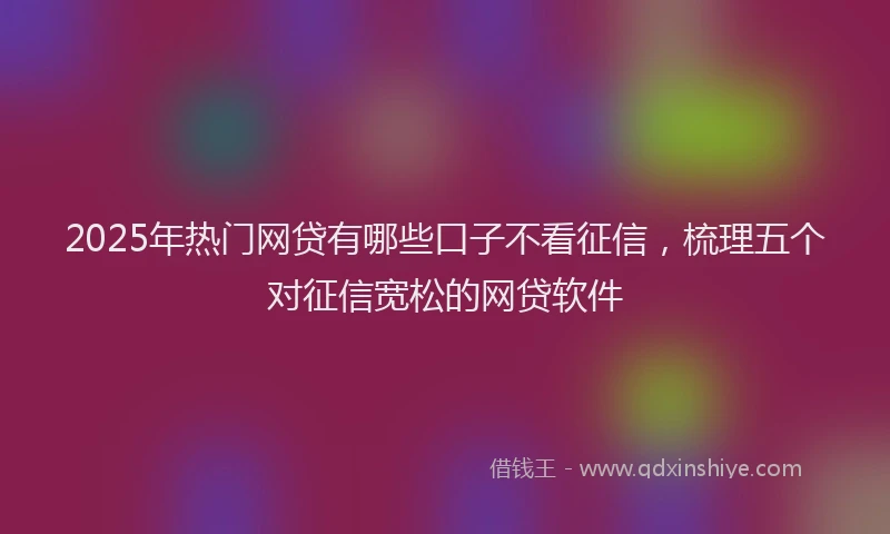 2025年热门网贷有哪些口子不看征信，梳理五个对征信宽松的网贷软件