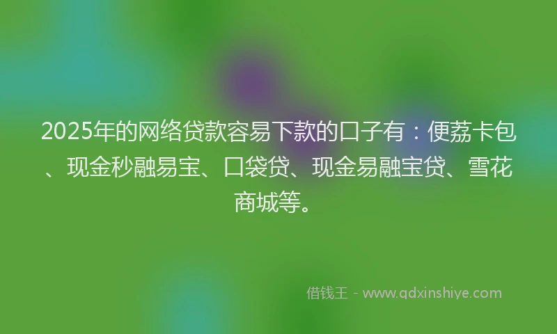 2025年的网络贷款容易下款的口子有：便荔卡包、现金秒融易宝、口袋贷、现金易融宝贷、雪花商城等。