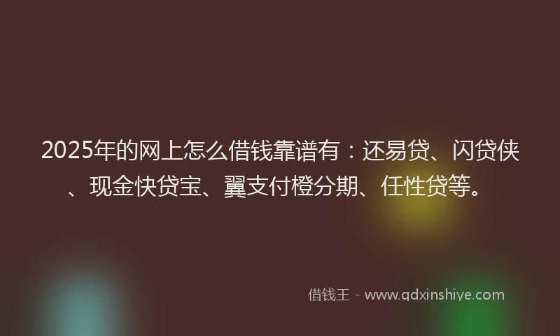 2025年的网上怎么借钱靠谱有：还易贷、闪贷侠、现金快贷宝、翼支付橙分期、任性贷等。