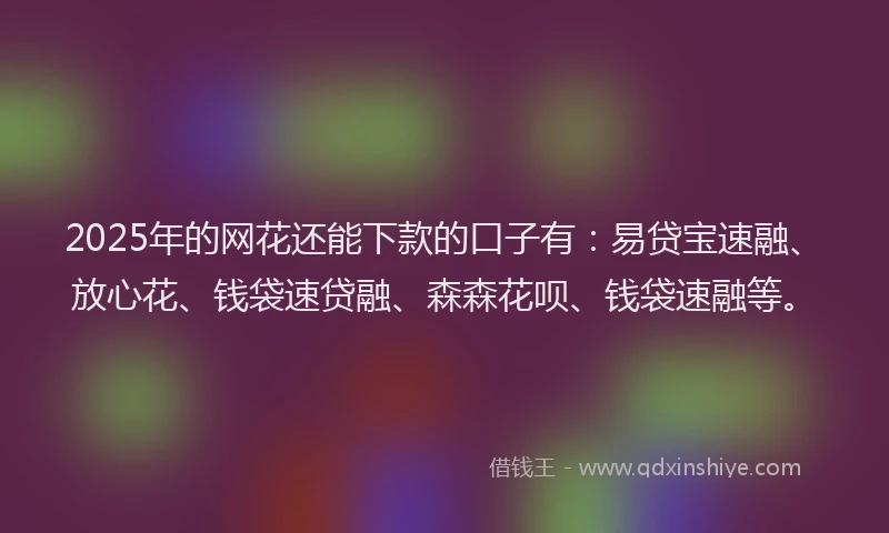 2025年的网花还能下款的口子有：易贷宝速融、放心花、钱袋速贷融、森森花呗、钱袋速融等。