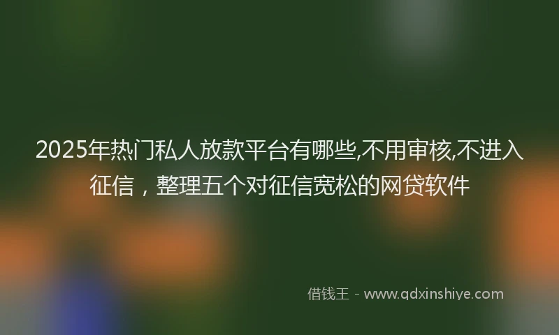 2025年热门私人放款平台有哪些,不用审核,不进入征信，整理五个对征信宽松的网贷软件