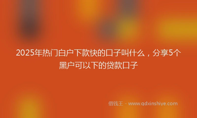 2025年热门白户下款快的口子叫什么，分享5个黑户可以下的贷款口子