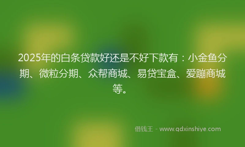 2025年的白条贷款好还是不好下款有：小金鱼分期、微粒分期、众帮商城、易贷宝盒、爱蹦商城等。
