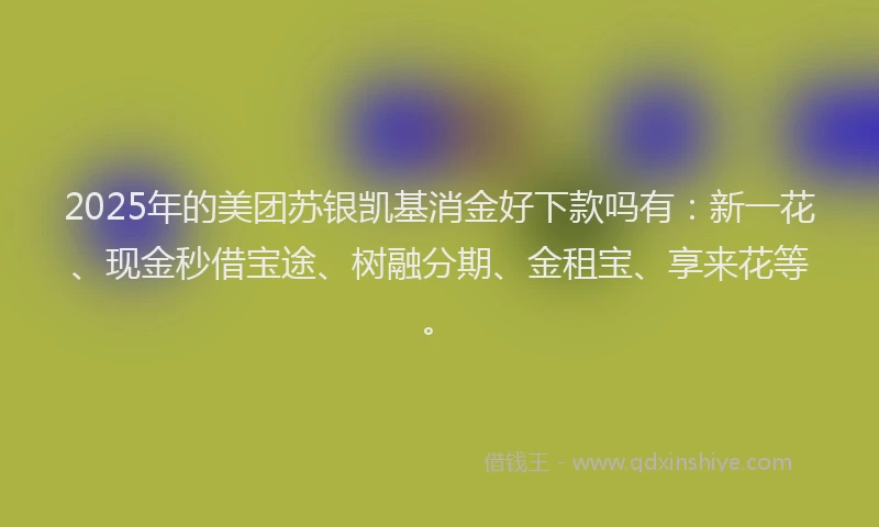 2025年的美团苏银凯基消金好下款吗有：新一花、现金秒借宝途、树融分期、金租宝、享来花等。