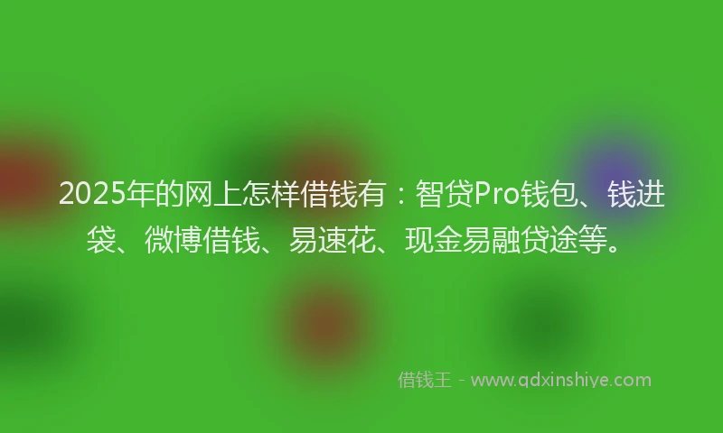 2025年的网上怎样借钱有：智贷Pro钱包、钱进袋、微博借钱、易速花、现金易融贷途等。