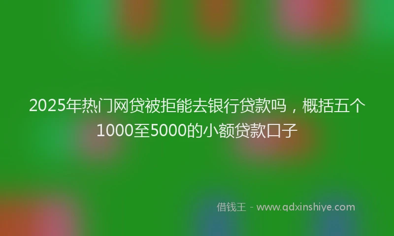 2025年热门网贷被拒能去银行贷款吗，概括五个1000至5000的小额贷款口子