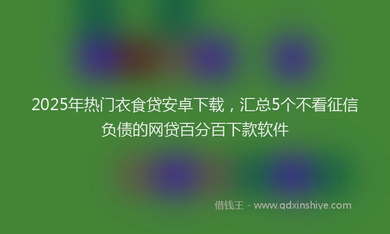 2025年热门衣食贷安卓下载，汇总5个不看征信负债的网贷百分百下款软件