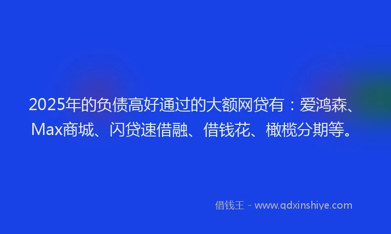 2025年的负债高好通过的大额网贷有：爱鸿森、Max商城、闪贷速借融、借钱花、橄榄分期等。