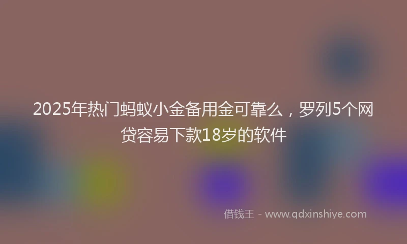 2025年热门蚂蚁小金备用金可靠么，罗列5个网贷容易下款18岁的软件