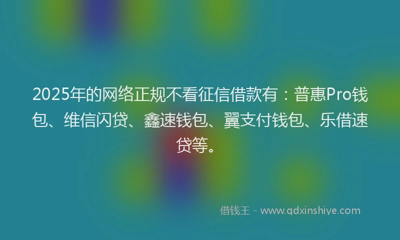 2025年的网络正规不看征信借款有：普惠Pro钱包、维信闪贷、鑫速钱包、翼支付钱包、乐借速贷等。