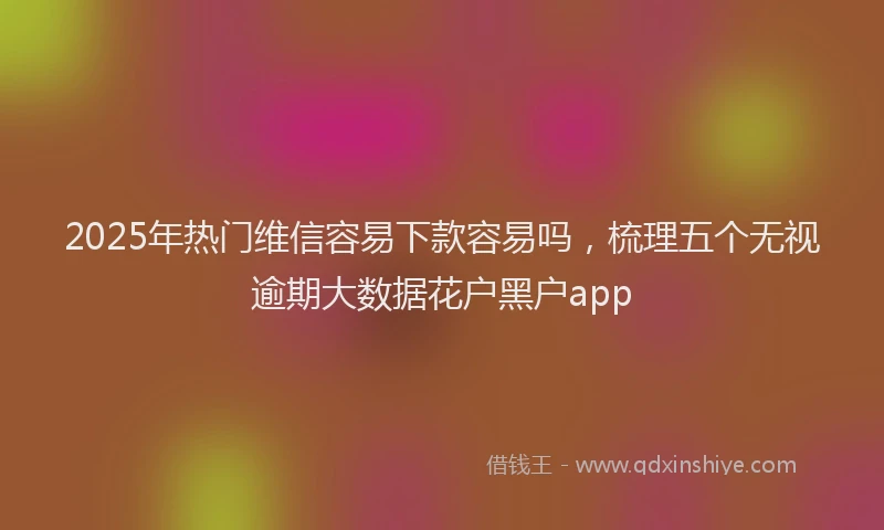 2025年热门维信容易下款容易吗，梳理五个无视逾期大数据花户黑户app
