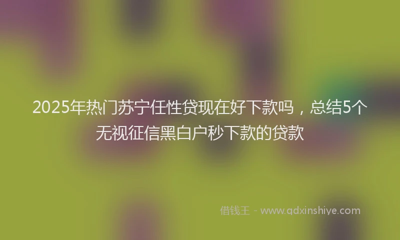 2025年热门苏宁任性贷现在好下款吗，总结5个无视征信黑白户秒下款的贷款