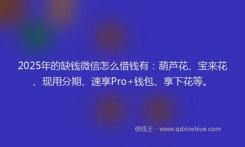 2025年的缺钱微信怎么借钱有：葫芦花、宝来花、现用分期、速享Pro+钱包、享下花等。