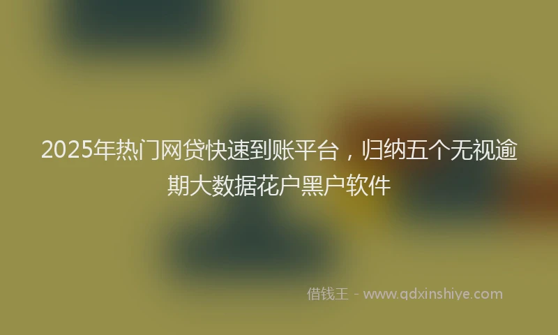 2025年热门网贷快速到账平台，归纳五个无视逾期大数据花户黑户软件