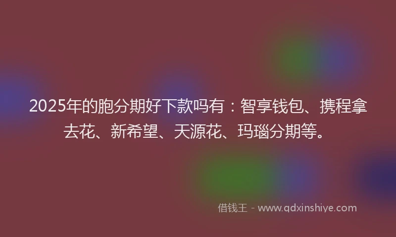 2025年的胞分期好下款吗有：智享钱包、携程拿去花、新希望、天源花、玛瑙分期等。
