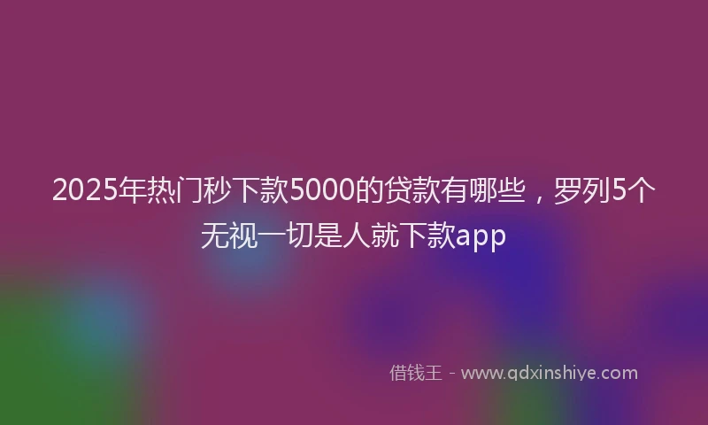 2025年热门秒下款5000的贷款有哪些，罗列5个无视一切是人就下款app
