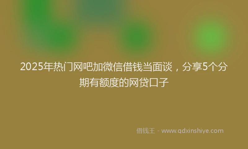 2025年热门网吧加微信借钱当面谈，分享5个分期有额度的网贷口子