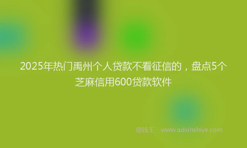 2025年热门禹州个人贷款不看征信的，盘点5个芝麻信用600贷款软件