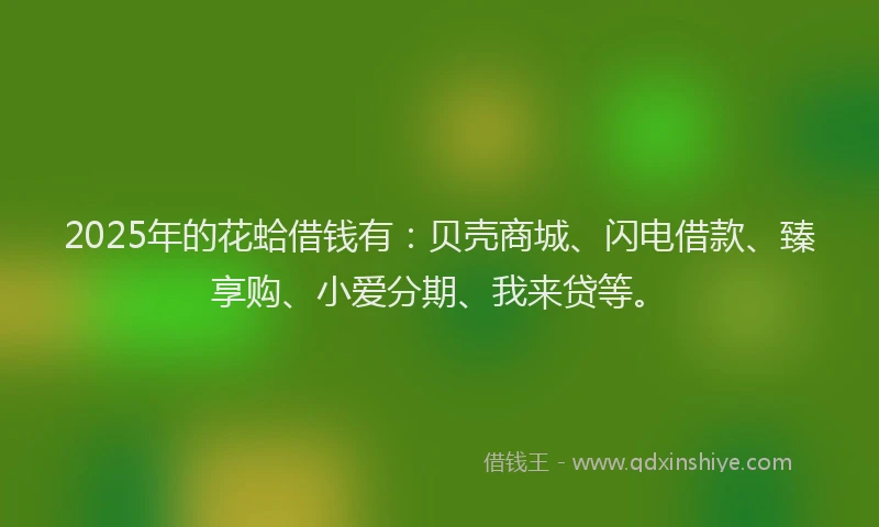 2025年的花蛤借钱有：贝壳商城、闪电借款、臻享购、小爱分期、我来贷等。