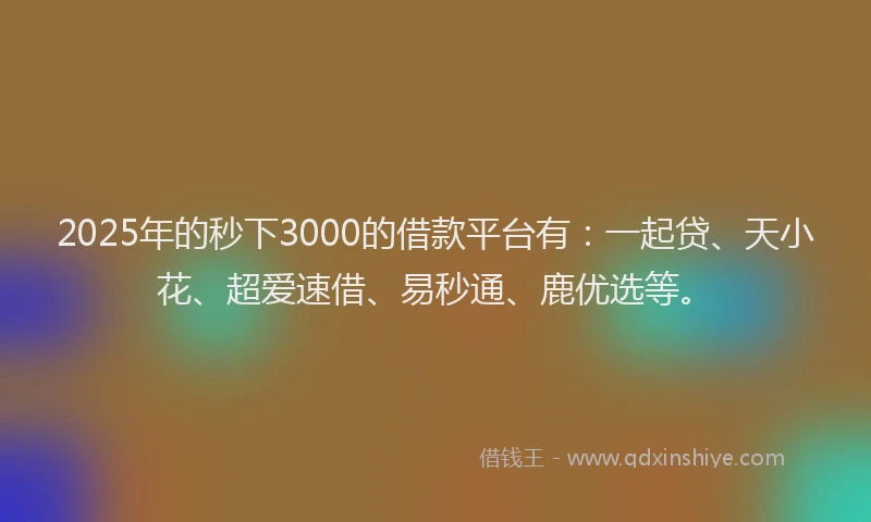 2025年的秒下3000的借款平台有：一起贷、天小花、超爱速借、易秒通、鹿优选等。