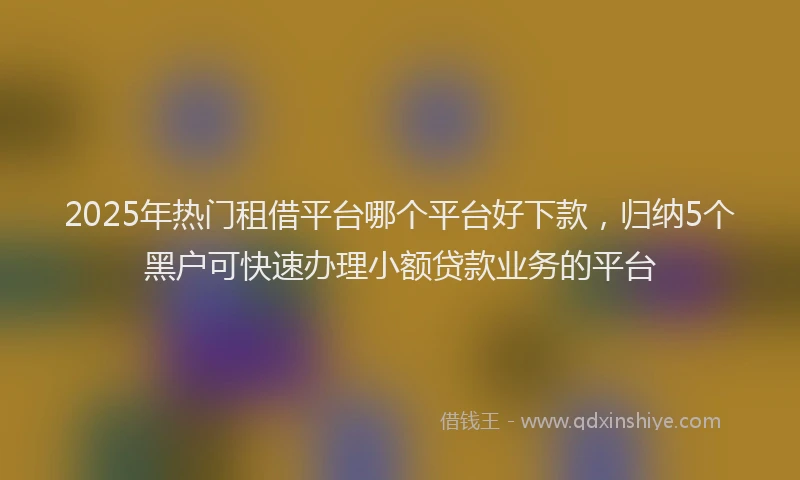 2025年热门租借平台哪个平台好下款，归纳5个黑户可快速办理小额贷款业务的平台