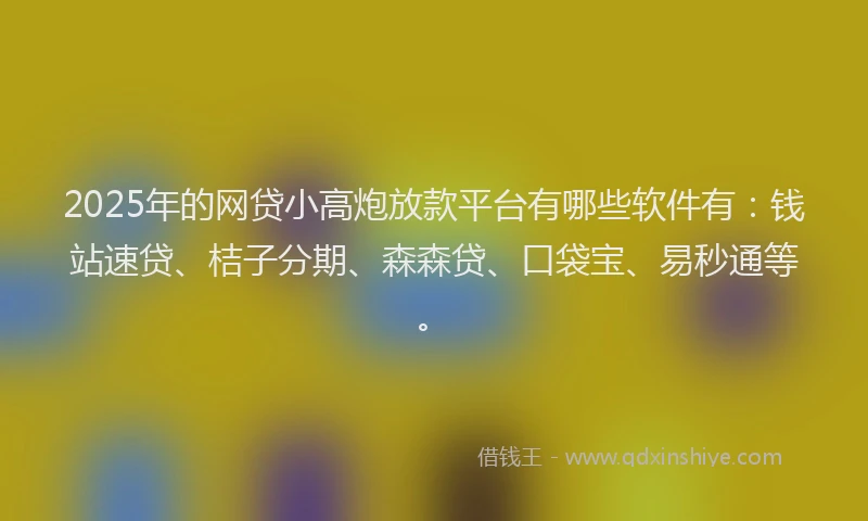 2025年的网贷小高炮放款平台有哪些软件有：钱站速贷、桔子分期、森森贷、口袋宝、易秒通等。