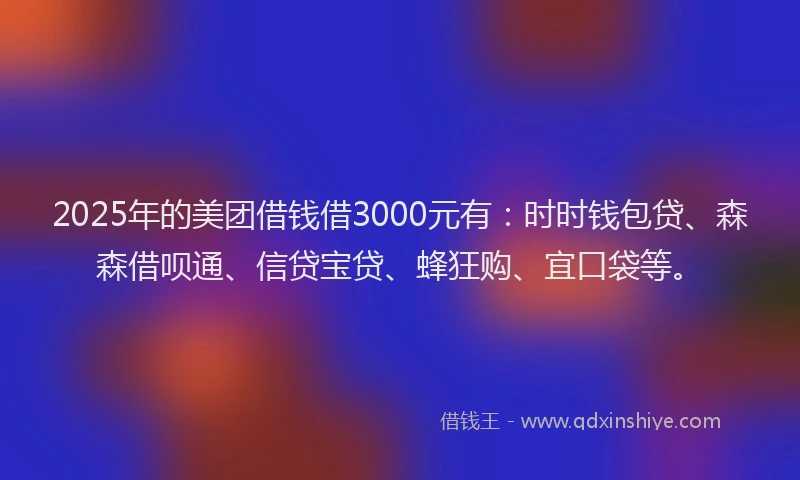 2025年的美团借钱借3000元有：时时钱包贷、森森借呗通、信贷宝贷、蜂狂购、宜口袋等。