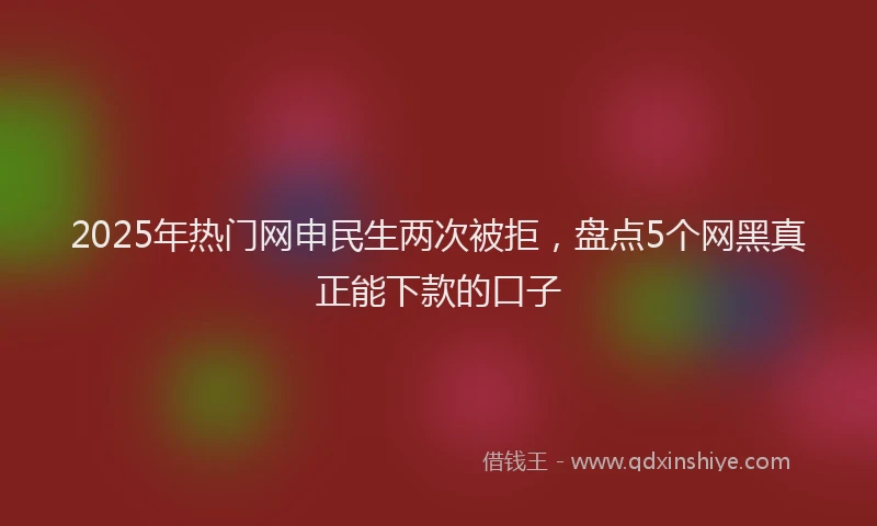 2025年热门网申民生两次被拒，盘点5个网黑真正能下款的口子