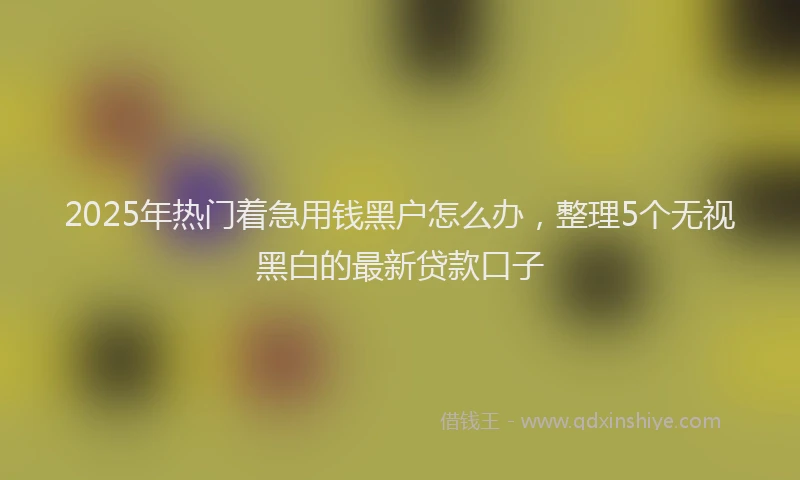2025年热门着急用钱黑户怎么办，整理5个无视黑白的最新贷款口子
